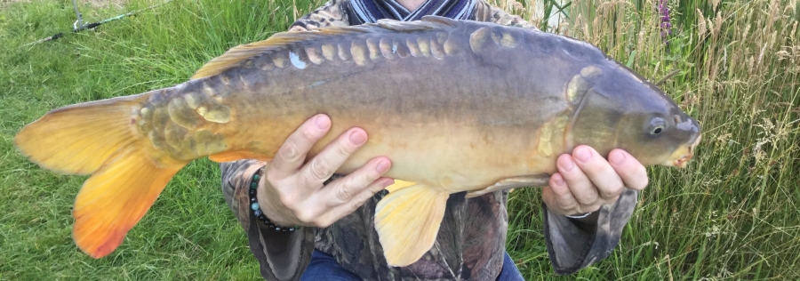 Birkwood carp fishing Emily 11lb 070718
