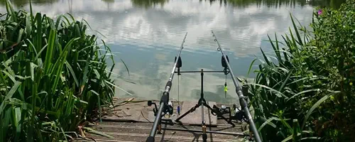 FP Main Lake 2