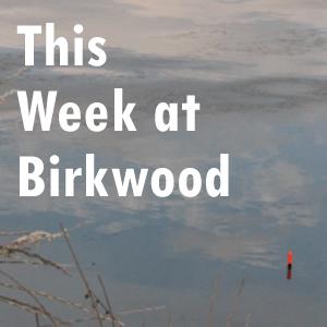 FP this week at Birkwood