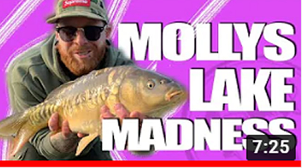 MADNESS AT MOLLYS