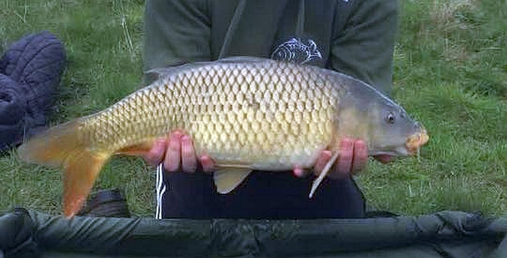 Birkwood carp fishing Mollys Lake 2
